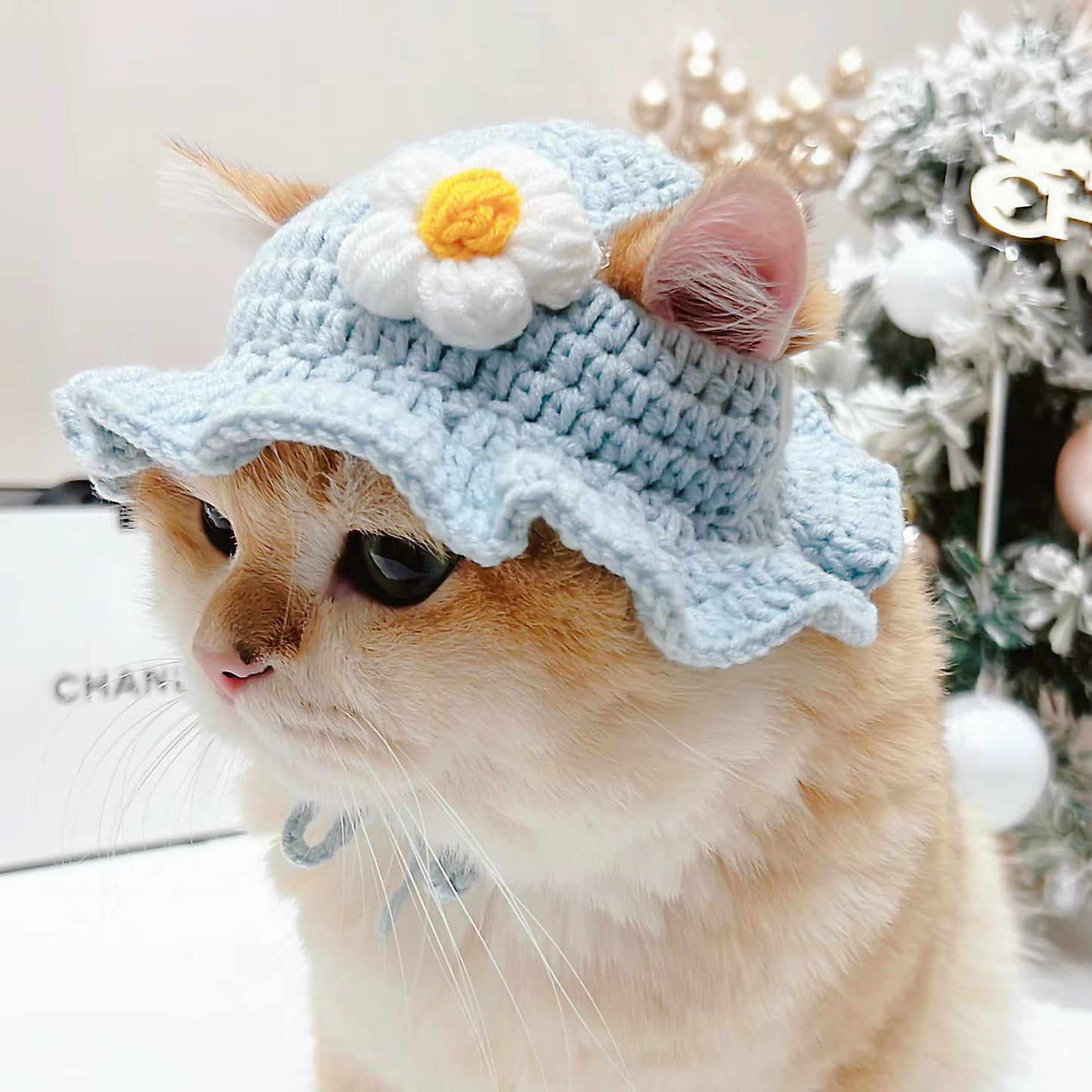Cute Refined Cat Hat Elastic Autumn Winter Pet Hat Puppy