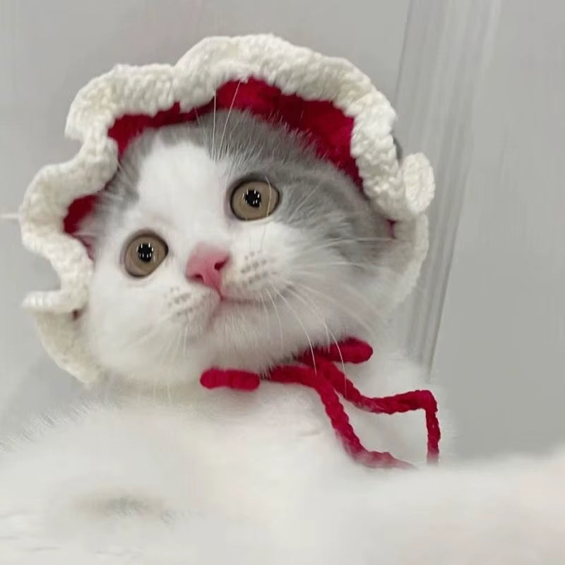Cute Refined Cat Hat Elastic Autumn Winter Pet Hat Puppy