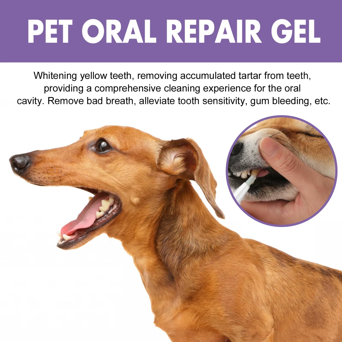 FreshPaws Pet Oral Repair Gel
