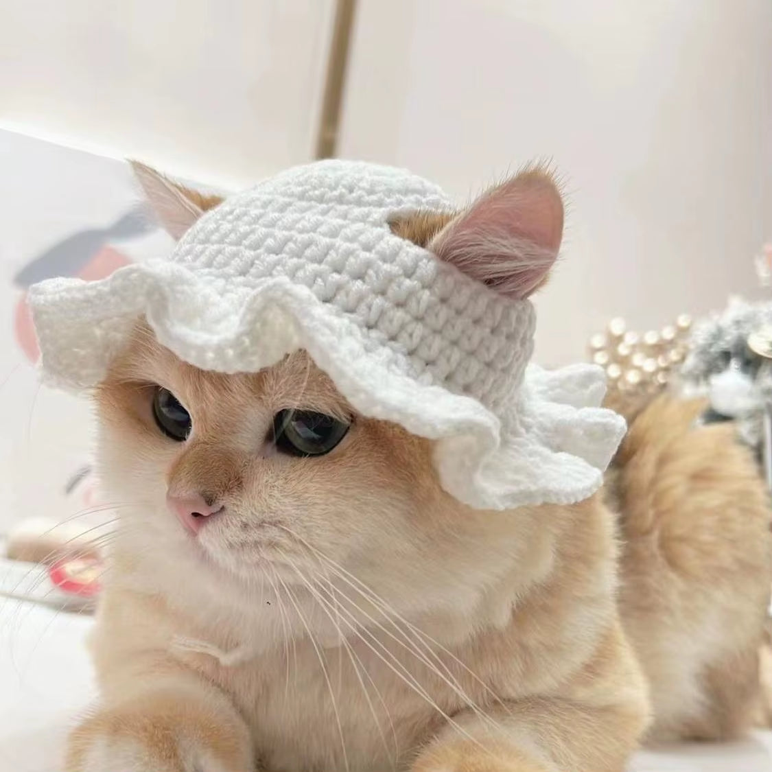 Cute Refined Cat Hat Elastic Autumn Winter Pet Hat Puppy