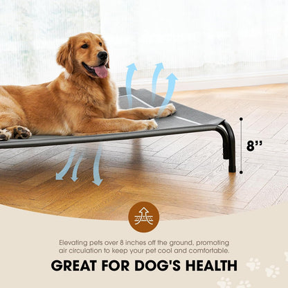 Pet Training Waist Bag Set 
