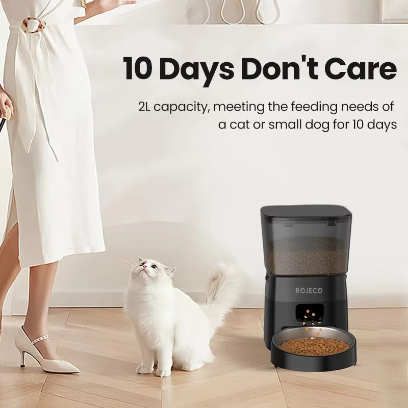 Smart Auto Pet Feeder  Hassle-Free Mealtim